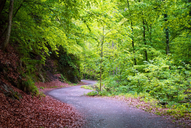 Parcul Național Cozia