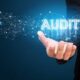 Cum se realizeaza un audit statutar