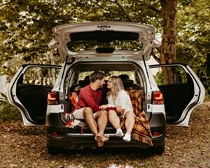 verificare rovinieta dupa numar